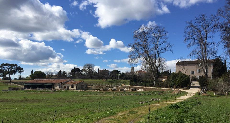 ferme pédagogique marseille